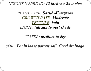 HEIGHT X SPREAD: 12 inches x 20 inches

PLANT TYPE: Shrub -Evergreen
GROWTH RATE: Moderate
TEXTURE: bold
LIGHT: full sun to part shade

WATER: medium to dry

SOIL: Pot in loose porous soil. Good drainage.
