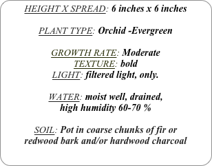 HEIGHT X SPREAD: 6 inches x 6 inches 

PLANT TYPE: Orchid -Evergreen

GROWTH RATE: Moderate
TEXTURE: bold
LIGHT: filtered light, only.

WATER: moist well, drained, 
high humidity 60-70 %

SOIL: Pot in coarse chunks of fir or redwood bark and/or hardwood charcoal 
