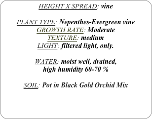 HEIGHT X SPREAD: vine

PLANT TYPE: Nepenthes-Evergreen vine
GROWTH RATE: Moderate
TEXTURE: medium
LIGHT: filtered light, only.

WATER: moist well, drained, 
high humidity 60-70 %

SOIL: Pot in Black Gold Orchid Mix
