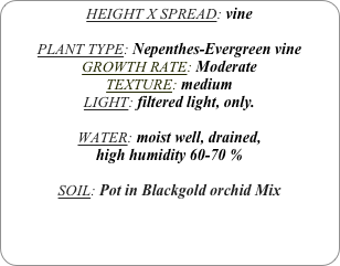 HEIGHT X SPREAD: vine

PLANT TYPE: Nepenthes-Evergreen vine
GROWTH RATE: Moderate
TEXTURE: medium
LIGHT: filtered light, only.

WATER: moist well, drained, 
high humidity 60-70 %

SOIL: Pot in Blackgold orchid Mix
