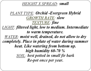 HEIGHT X SPREAD: small

PLANT TYPE: Orchid -Evergreen Hybrid
GROWTH RATE: slow
TEXTURE: fine
LIGHT: filtered light, low to medium. Intermediate to warm temperature.
WATER: moist well, drained, do not allow to dry completely. Place in plate of water during summer heat. Like watering from bottom up.
high humidity 60-70 %
SOIL: best potted in small fir bark
Re-pot once per year.
