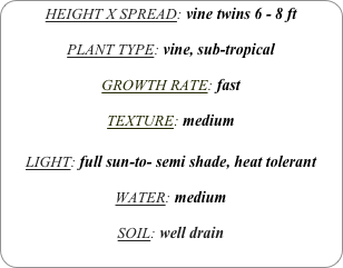 HEIGHT X SPREAD: vine twins 6 - 8 ft

PLANT TYPE: vine, sub-tropical

GROWTH RATE: fast

TEXTURE: medium

LIGHT: full sun-to- semi shade, heat tolerant

WATER: medium

SOIL: well drain
