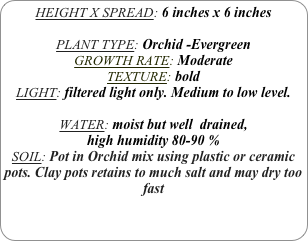 HEIGHT X SPREAD: 6 inches x 6 inches

PLANT TYPE: Orchid -Evergreen
GROWTH RATE: Moderate
TEXTURE: bold
LIGHT: filtered light only. Medium to low level.

WATER: moist but well  drained, 
high humidity 80-90 %
SOIL: Pot in Orchid mix using plastic or ceramic pots. Clay pots retains to much salt and may dry too fast
