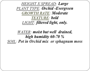 HEIGHT X SPREAD: Large
PLANT TYPE: Orchid -Evergreen
GROWTH RATE: Moderate
TEXTURE: bold
LIGHT: filtered light, only.

WATER: moist but well  drained, 
high humidity 60-70 %
SOIL: Pot in Orchid mix  or sphagnum moss
