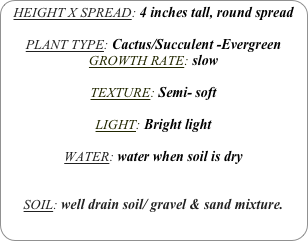 HEIGHT X SPREAD: 4 inches tall, round spread

PLANT TYPE: Cactus/Succulent -Evergreen
GROWTH RATE: slow

TEXTURE: Semi- soft

LIGHT: Bright light

WATER: water when soil is dry


SOIL: well drain soil/ gravel & sand mixture.
