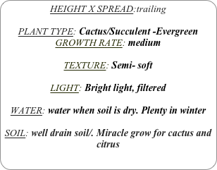HEIGHT X SPREAD:trailing

PLANT TYPE: Cactus/Succulent -Evergreen
GROWTH RATE: medium

TEXTURE: Semi- soft

LIGHT: Bright light, filtered

WATER: water when soil is dry. Plenty in winter

SOIL: well drain soil/. Miracle grow for cactus and citrus
