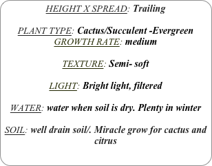 HEIGHT X SPREAD: Trailing

PLANT TYPE: Cactus/Succulent -Evergreen
GROWTH RATE: medium

TEXTURE: Semi- soft

LIGHT: Bright light, filtered

WATER: water when soil is dry. Plenty in winter

SOIL: well drain soil/. Miracle grow for cactus and citrus
