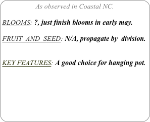 As observed in Coastal NC.

BLOOMS: ?, just finish blooms in early may.

FRUIT  AND  SEED: N/A, propagate by  division.


KEY FEATURES: A good choice for hanging pot.