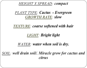 HEIGHT X SPREAD: compact

PLANT TYPE: Cactus  - Evergreen
GROWTH RATE: slow

TEXTURE: coarse softened with hair

LIGHT: Bright light

WATER: water when soil is dry.

SOIL: well drain soil/. Miracle grow for cactus and citrus
