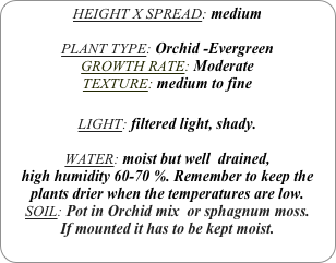 HEIGHT X SPREAD: medium

PLANT TYPE: Orchid -Evergreen
GROWTH RATE: Moderate
TEXTURE: medium to fine

LIGHT: filtered light, shady.

WATER: moist but well  drained, 
high humidity 60-70 %. Remember to keep the plants drier when the temperatures are low.
SOIL: Pot in Orchid mix  or sphagnum moss.
If mounted it has to be kept moist.
