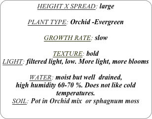 HEIGHT X SPREAD: large

PLANT TYPE: Orchid -Evergreen

GROWTH RATE: slow

TEXTURE: bold
LIGHT: filtered light, low. More light, more blooms

WATER: moist but well  drained, 
high humidity 60-70 %. Does not like cold temperatures.
SOIL: Pot in Orchid mix  or sphagnum moss
