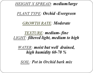 HEIGHT X SPREAD: medium/large 

PLANT TYPE: Orchid -Evergreen

GROWTH RATE: Moderate

TEXTURE: medium- fine
LIGHT: filtered light, medium to high

WATER: moist but well  drained, 
high humidity 60-70 %

SOIL: Pot in Orchid bark mix 
