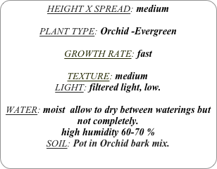 HEIGHT X SPREAD: medium

PLANT TYPE: Orchid -Evergreen

GROWTH RATE: fast

TEXTURE: medium
LIGHT: filtered light, low.

WATER: moist  allow to dry between waterings but not completely.
high humidity 60-70 %
SOIL: Pot in Orchid bark mix.
