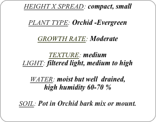 HEIGHT X SPREAD: compact, small

PLANT TYPE: Orchid -Evergreen

GROWTH RATE: Moderate

TEXTURE: medium
LIGHT: filtered light, medium to high

WATER: moist but well  drained, 
high humidity 60-70 %

SOIL: Pot in Orchid bark mix or mount.
