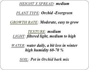 HEIGHT X SPREAD: medium 

PLANT TYPE: Orchid -Evergreen

GROWTH RATE: Moderate, easy to grow

TEXTURE: medium
LIGHT: filtered light, medium to high

WATER: water daily, a bit less in winter
high humidity 60-70 %

SOIL: Pot in Orchid bark mix
