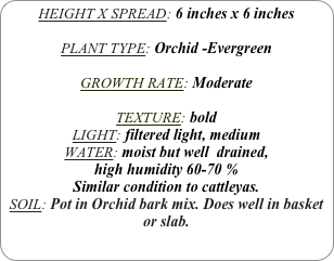 HEIGHT X SPREAD: 6 inches x 6 inches 

PLANT TYPE: Orchid -Evergreen

GROWTH RATE: Moderate

TEXTURE: bold
LIGHT: filtered light, medium
WATER: moist but well  drained, 
high humidity 60-70 %
Similar condition to cattleyas.
SOIL: Pot in Orchid bark mix. Does well in basket or slab.

