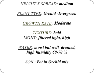 HEIGHT X SPREAD: medium 

PLANT TYPE: Orchid -Evergreen

GROWTH RATE: Moderate

TEXTURE: bold
LIGHT: filtered light, high

WATER: moist but well  drained, 
high humidity 60-70 %

SOIL: Pot in Orchid mix 
