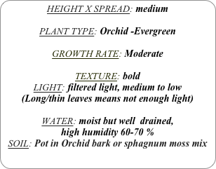 HEIGHT X SPREAD: medium 

PLANT TYPE: Orchid -Evergreen

GROWTH RATE: Moderate

TEXTURE: bold
LIGHT: filtered light, medium to low
(Long/thin leaves means not enough light)

WATER: moist but well  drained, 
high humidity 60-70 %
SOIL: Pot in Orchid bark or sphagnum moss mix 
