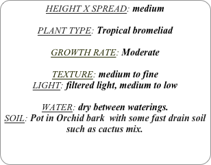 HEIGHT X SPREAD: medium 

PLANT TYPE: Tropical bromeliad

GROWTH RATE: Moderate

TEXTURE: medium to fine
LIGHT: filtered light, medium to low

WATER: dry between waterings.
SOIL: Pot in Orchid bark  with some fast drain soil such as cactus mix.

