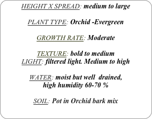 HEIGHT X SPREAD: medium to large

PLANT TYPE: Orchid -Evergreen

GROWTH RATE: Moderate

TEXTURE: bold to medium
LIGHT: filtered light. Medium to high

WATER: moist but well  drained, 
high humidity 60-70 %

SOIL: Pot in Orchid bark mix
