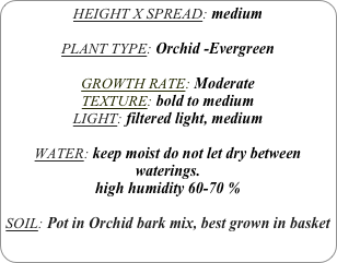 HEIGHT X SPREAD: medium

PLANT TYPE: Orchid -Evergreen

GROWTH RATE: Moderate
TEXTURE: bold to medium
LIGHT: filtered light, medium

WATER: keep moist do not let dry between waterings.
high humidity 60-70 %

SOIL: Pot in Orchid bark mix, best grown in basket
