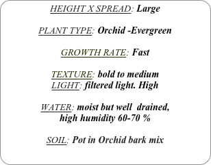 HEIGHT X SPREAD: Large

PLANT TYPE: Orchid -Evergreen

GROWTH RATE: Fast

TEXTURE: bold to medium
LIGHT: filtered light. High

WATER: moist but well  drained, 
high humidity 60-70 %

SOIL: Pot in Orchid bark mix
