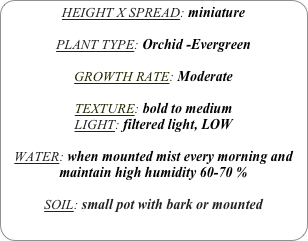 HEIGHT X SPREAD: miniature

PLANT TYPE: Orchid -Evergreen

GROWTH RATE: Moderate

TEXTURE: bold to medium
LIGHT: filtered light, LOW

WATER: when mounted mist every morning and maintain high humidity 60-70 %

SOIL: small pot with bark or mounted
