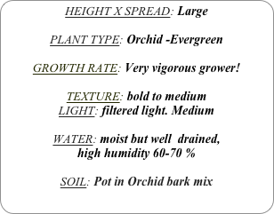 HEIGHT X SPREAD: Large

PLANT TYPE: Orchid -Evergreen

GROWTH RATE: Very vigorous grower!

TEXTURE: bold to medium
LIGHT: filtered light. Medium

WATER: moist but well  drained, 
high humidity 60-70 %

SOIL: Pot in Orchid bark mix

