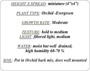 HEIGHT X SPREAD: miniature (4”x4”)

PLANT TYPE: Orchid -Evergreen

GROWTH RATE: Moderate

TEXTURE: bold to medium
LIGHT: filtered light, medium

WATER: moist but well  drained, 
high humidity 60-70 %

SOIL: Pot in Orchid bark mix, does well mounted
