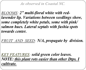 As observed in Coastal NC.

BLOOMS: 2” multi-floral white with red-lavender lip. Variations between seedlings show, some completely white petals, some with pink/ salmon hues. Lateral septals with fushia spots towards center.

FRUIT  AND  SEED: N/A, propagate by  division.


KEY FEATURES: solid green color leaves.
NOTE: this plant rots easier than other Dtps. I cultivate.