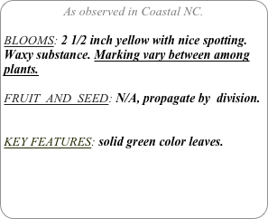 As observed in Coastal NC.

BLOOMS: 2 1/2 inch yellow with nice spotting. Waxy substance. Marking vary between among plants.

FRUIT  AND  SEED: N/A, propagate by  division.


KEY FEATURES: solid green color leaves.