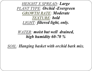 HEIGHT X SPREAD: Large
PLANT TYPE: Orchid -Evergreen
GROWTH RATE: Moderate
TEXTURE: bold
LIGHT: filtered light, only.

WATER: moist but well  drained, 
high humidity 60-70 %

SOIL: Hanging basket with orchid bark mix. 
