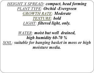 HEIGHT X SPREAD: compact, head forming
PLANT TYPE: Orchid -Evergreen
GROWTH RATE: Moderate
TEXTURE: bold
LIGHT: filtered light, only.

WATER: moist but well  drained, 
high humidity 60-70 %
SOIL: suitable for hanging basket in moss or high moisture media.
