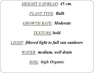 HEIGHT X SPREAD: 45 cm.

PLANT TYPE: Bulb

GROWTH RATE: Moderate

TEXTURE:bold

LIGHT: filtered light to full sun outdoors

WATER: medium, well drain

SOIL: high Organic
