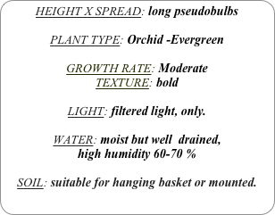 HEIGHT X SPREAD: long pseudobulbs

PLANT TYPE: Orchid -Evergreen

GROWTH RATE: Moderate
TEXTURE: bold

LIGHT: filtered light, only.

WATER: moist but well  drained, 
high humidity 60-70 %

SOIL: suitable for hanging basket or mounted.
