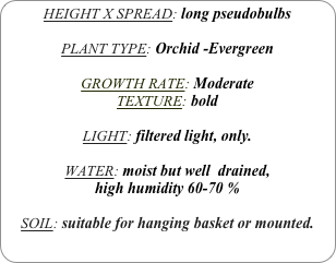 HEIGHT X SPREAD: long pseudobulbs

PLANT TYPE: Orchid -Evergreen

GROWTH RATE: Moderate
TEXTURE: bold

LIGHT: filtered light, only.

WATER: moist but well  drained, 
high humidity 60-70 %

SOIL: suitable for hanging basket or mounted.
