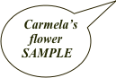 Carmela’s flower
 SAMPLE