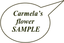 Carmela’s flower
 SAMPLE