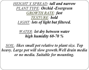 HEIGHT X SPREAD: tall and narrow
PLANT TYPE: Orchid -Evergreen
GROWTH RATE: fast
TEXTURE: bold
LIGHT: lots of light but filtered.

WATER: let dry between water
high humidity 60-70 %

SOIL: likes small pot relative to plant size. Top heavy. Large pot will slow growth.Well drain media or no media. Suitable for mounting.
