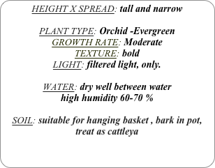 HEIGHT X SPREAD: tall and narrow

PLANT TYPE: Orchid -Evergreen
GROWTH RATE: Moderate
TEXTURE: bold
LIGHT: filtered light, only.

WATER: dry well between water 
high humidity 60-70 %

SOIL: suitable for hanging basket , bark in pot, treat as cattleya
