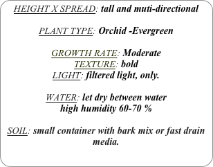 HEIGHT X SPREAD: tall and muti-directional

PLANT TYPE: Orchid -Evergreen

GROWTH RATE: Moderate
TEXTURE: bold
LIGHT: filtered light, only.

WATER: let dry between water
high humidity 60-70 %

SOIL: small container with bark mix or fast drain media.
