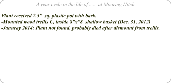 A year cycle in the life of ...... at Mooring Hitch

Plant received 2.5”  sq. plastic pot with bark.
-Mounted wood trellis C, inside 8”x”8  shallow basket (Dec. 31, 2012)
-Januray 2014: Plant not found, probably died after dismount from trellis.
