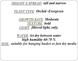 HEIGHT X SPREAD: tall and narrow

PLANT TYPE: Orchid -Evergreen

GROWTH RATE: Moderate
TEXTURE: bold
LIGHT: filtered light, only.

WATER: let dry between water
high humidity 60-70 %
SOIL: suitable for hanging basket or fast dry media
