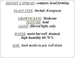 HEIGHT X SPREAD: compact, head forming

PLANT TYPE: Orchid -Evergreen

GROWTH RATE: Moderate
TEXTURE: bold
LIGHT: filtered light, only.

WATER: moist but well  drained, 
high humidity 60-70 %

SOIL: bark media in pot, well drain
