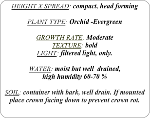 HEIGHT X SPREAD: compact, head forming

PLANT TYPE: Orchid -Evergreen

GROWTH RATE: Moderate
TEXTURE: bold
LIGHT: filtered light, only.

WATER: moist but well  drained, 
high humidity 60-70 %

SOIL: container with bark, well drain. If mounted place crown facing down to prevent crown rot.
