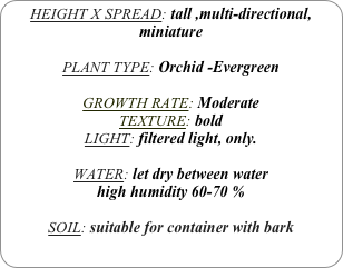 HEIGHT X SPREAD: tall ,multi-directional, miniature

PLANT TYPE: Orchid -Evergreen

GROWTH RATE: Moderate
TEXTURE: bold
LIGHT: filtered light, only.

WATER: let dry between water
high humidity 60-70 %

SOIL: suitable for container with bark
