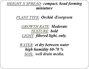 HEIGHT X SPREAD: compact, head forming
miniature

PLANT TYPE: Orchid -Evergreen

GROWTH RATE: Moderate
TEXTURE: bold
LIGHT: filtered light, only.

WATER: et dry between water 
high humidity 60-70 %
SOIL: well drain media.
