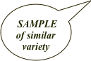 SAMPLE
of similar variety