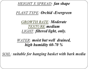 HEIGHT X SPREAD: fan shape

PLANT TYPE: Orchid -Evergreen

GROWTH RATE: Moderate
TEXTURE:medium
LIGHT: filtered light, only.

WATER: moist but well  drained, 
high humidity 60-70 %

SOIL: suitable for hanging basket with bark media
