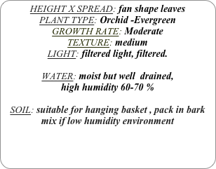 HEIGHT X SPREAD: fan shape leaves
PLANT TYPE: Orchid -Evergreen
GROWTH RATE: Moderate
TEXTURE: medium
LIGHT: filtered light, filtered.

WATER: moist but well  drained, 
high humidity 60-70 %

SOIL: suitable for hanging basket , pack in bark mix if low humidity environment

